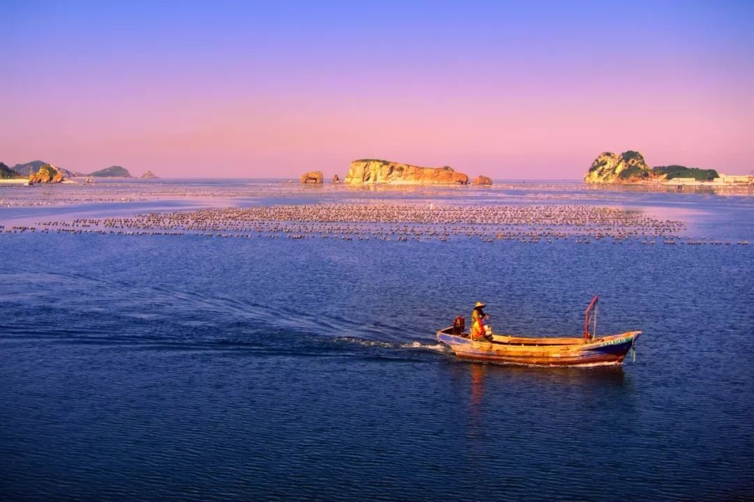 辽宁之声,播音稿精选