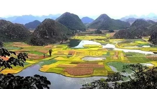 云南,变革之力与学习之魅